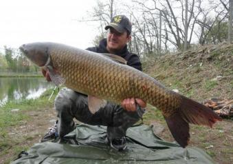 Pesca alla carpa amur foto profilo