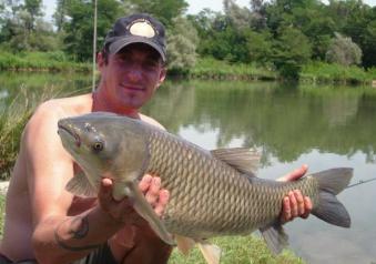 Pesca alla carpa amur