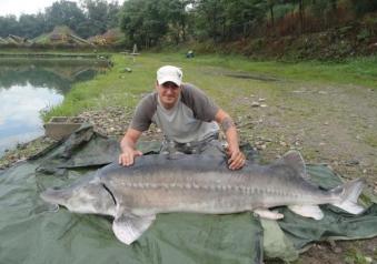 Pesca allo storione beluga