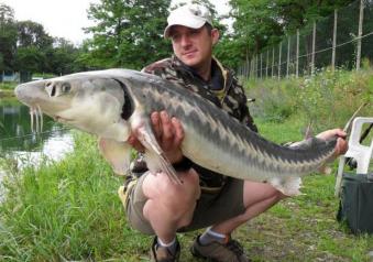 Pesca allo storione iraniano