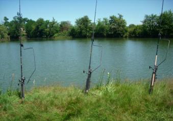 Pesca al siluro canne