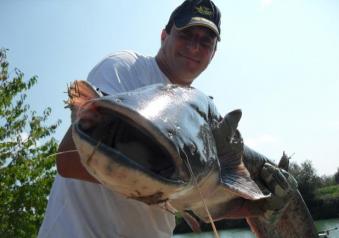 Pesca al siluro primo piano