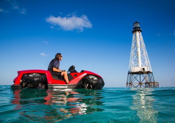 Gibbs Quadski in acqua profilo