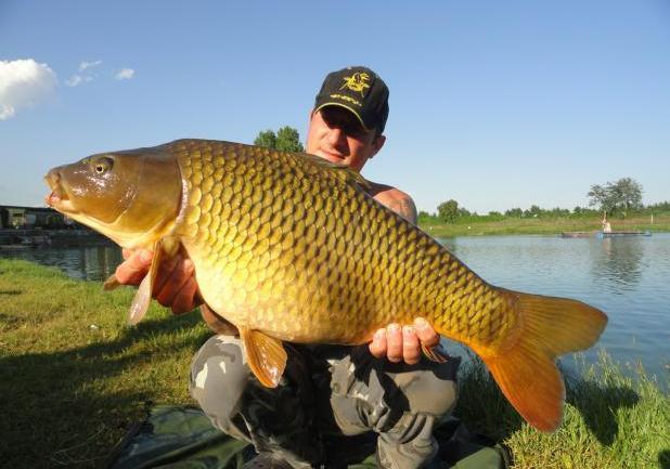 Pesca alla carpa regina foto al laghetto