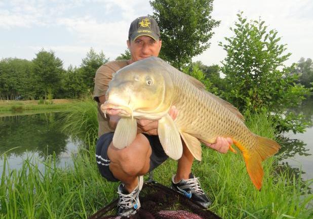 Pesca alla carpa regina