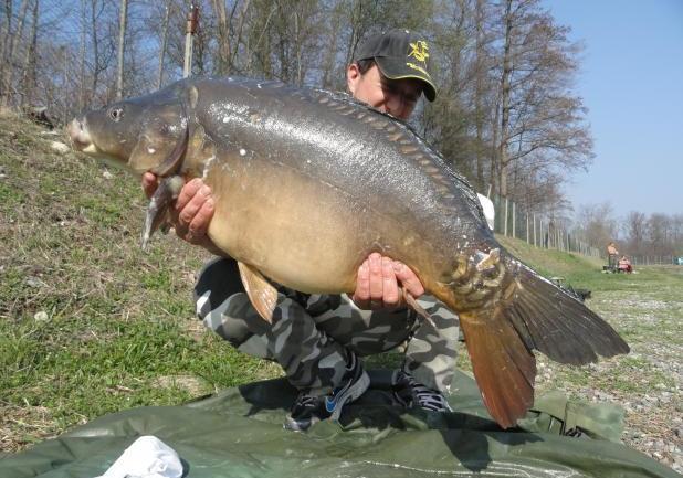 Pesca alla carpa a specchi foto profilo