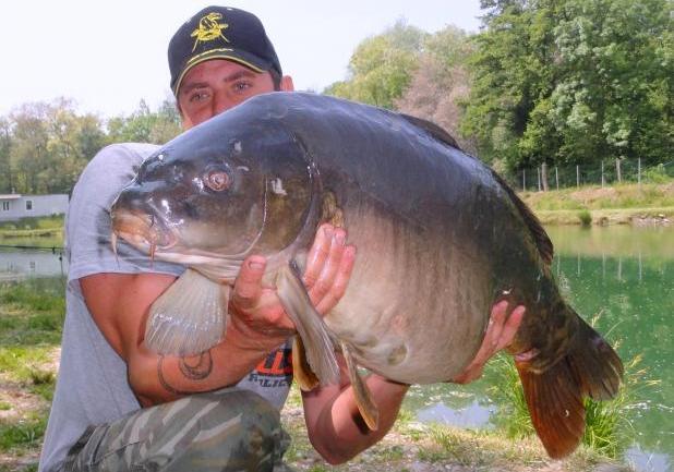 Pesca alla carpa a specchi foto tre quarti