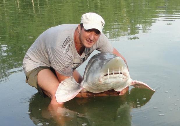 Pesca allo storione beluga foto in acqua