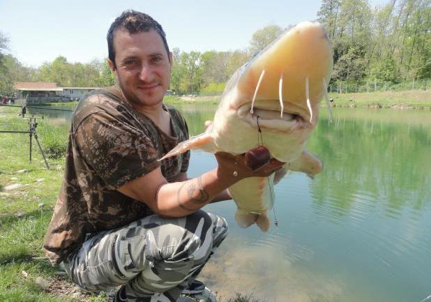 Pesca allo storione beluga foto dal basso