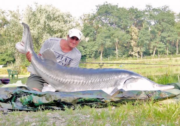 Pesca allo storione beluga foto profilo