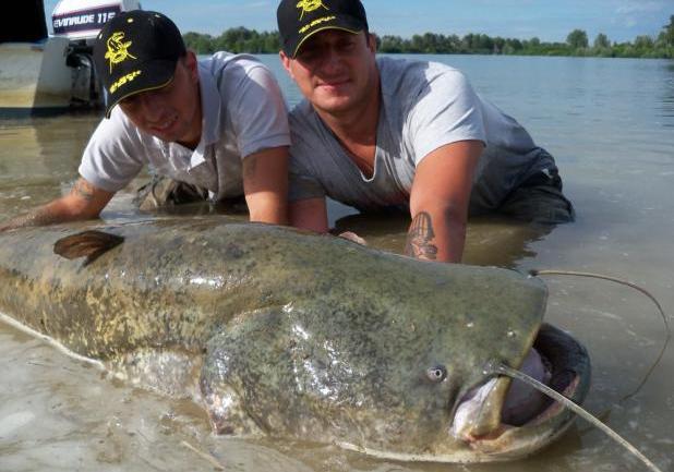 Pesca al siluro tre quarti anteriore