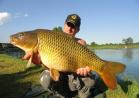 Pesca alla carpa regina foto al laghetto