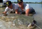 Pesca al siluro tre quarti anteriore